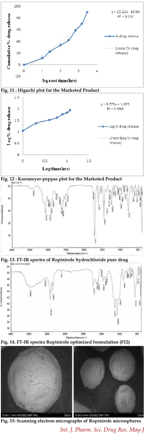 Fig. 15: Scanning electron micrographs of Ropinirole microspheres 