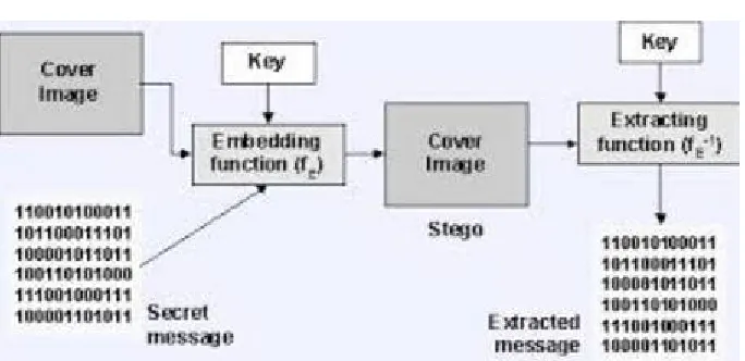 Fig 3: Stego Image with LSB structure 