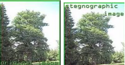 Fig:5 Differencing RGB and Gray Scale Cove Images    