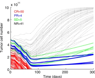 FIGURE 4. Simulations of time-dependent tumor cell number dynamics as a result of the Greenberg protocol (Yee et al)