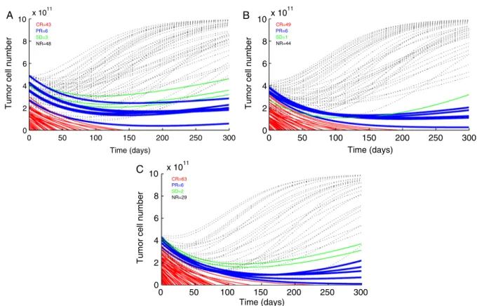 FIGURE 6. Simulations of time-dependent tumor cell number dynamics as a result of the Rosenberg intensive protocol