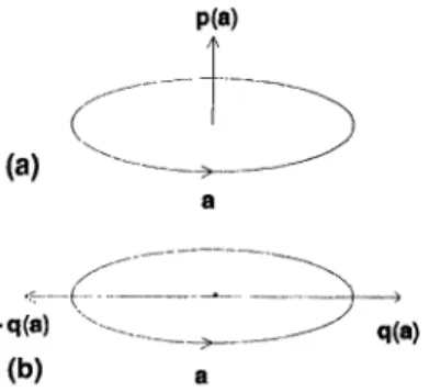 Fig. 1.3 Polarization vectors p(a) and q(a) of a complex vector a.