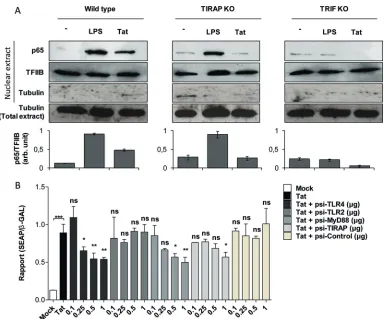 FIG 5 HIV-1 Tat protein activates NF-(as loading controls. Quantiﬁcation of the bands obtained from 3 independent experiments was performed using ImageJ software