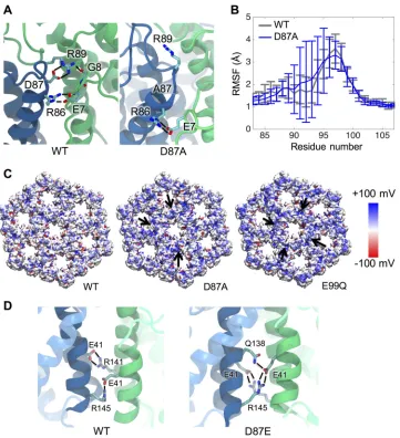 FIG 7 Mutations at residues 87 and 99 alter properties of the immature lattice. The effects of mutations on the Gag lattice structure were predicted based uponpotential maps show that the removal of negative charges by D87A or E99Q leads to accumulation of