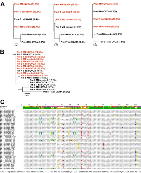 FIG 7 Sequence analyses of virus produced in CD4� T cell and macrophage QVOAs. Supernatant was collected from the spleen M�-QVOA and spleen T cellQVOA for Pm4, Pm5, and Pm6