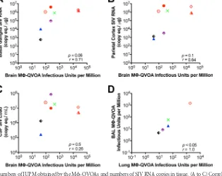 FIG 4 Quantitation of SIV-infected monocytes, macrophages, and CD4� T cells in SIV-infected macaques