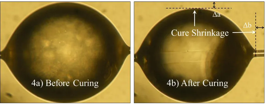 Figure 4. Optical micrographs showing epoxy microdroplet cure shrinkage  