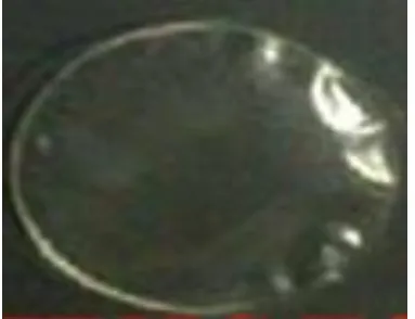 Fig. 1: Aripiprazole fast dissolving oral films 