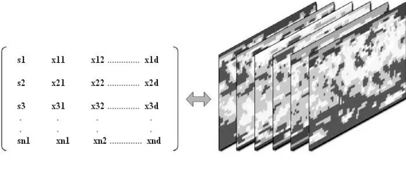 Fig 1.1 A multivariate spatial data set represented as a spatial data matrix . 