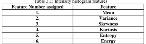 Table 3.2:  Intensity histogram features and their values Features 
