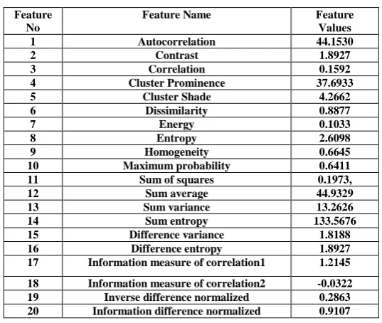 Table 3.3 : GLCM Features and values Extracted from Mammogram Image(Malignant) 