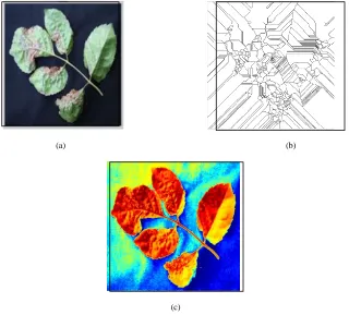 Figure 3.  Recognition Rate Analysis 