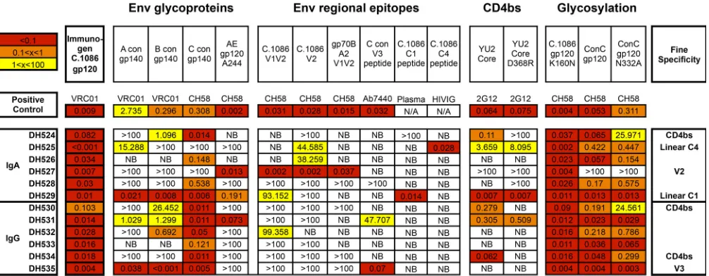 FIG 6 Binding proﬁle and determined speciﬁcities for 6 IgA and 6 IgG vaccine-elicited Env-speciﬁc MAbs isolated from breast milk B cells and selected forfunctional characterization