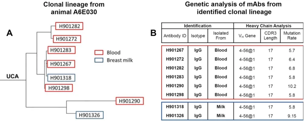TABLE 3 The concentration of innate HIV-neutralizing factor tenascinC in breast milk does not signiﬁcantly change during the vaccinationschedule