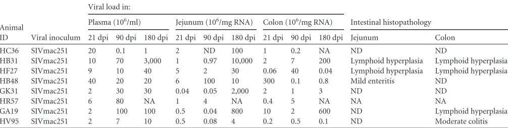 TABLE 1 Viral loads and intestinal histopathology in SIV-infected rhesus macaques used for TLDA miRNA proﬁlinga