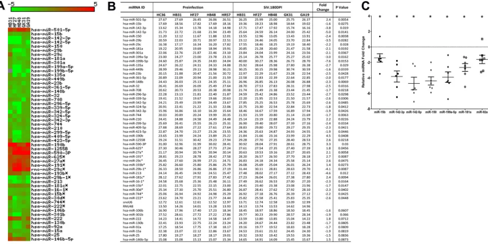 FIG 4 Changes in miRNA expression in intestinal LPLs of rhesus macaques at 180 days post-SIV infection compared to the preinfection time point