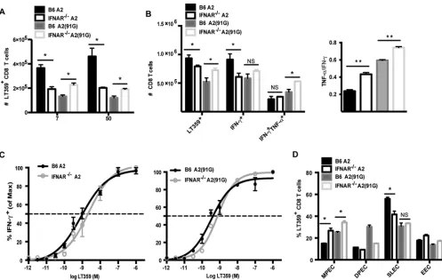 FIG 7 Type I interferons regulate CD8 T cell proliferation, functionality, and memory differentiation in a virus strain-dependent manner