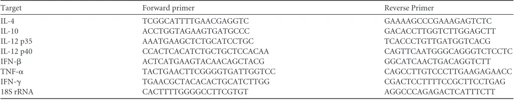 TABLE 1 Primers used for quantitative RT-PCR