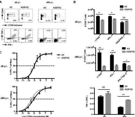 FIG 2 A2(91G) infection recruits memory CD8 T cells having higher polycytokine functionality and functional avidity