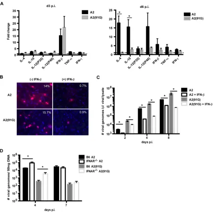 FIG 6 Type I interferons inhibit viral replication3 and 6 p.i. normalized to transcripts from spleens of uninfected mice