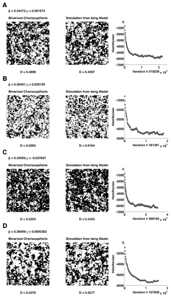 Fig 7. Simulation from the Ising model of different choriocapillaris textures. Fig 7.A-D shows simulationpixel density (denoted as D) is reported below each respective choriocapillaris image, both original anditerations)