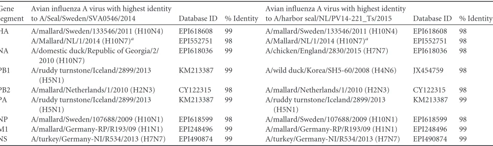 TABLE 1 Avian inﬂuenza A virus strains most closely related to “early” and “late” seal inﬂuenza A(H10N7) viruses based on BLASTn analysis