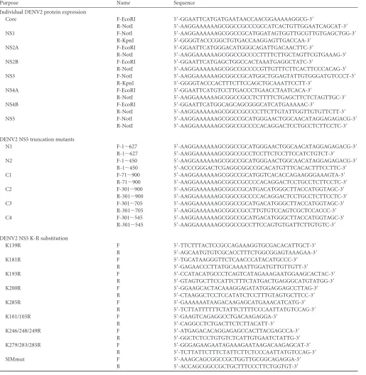 TABLE 1 Primers used in DENV protein cloning or mutagenesis