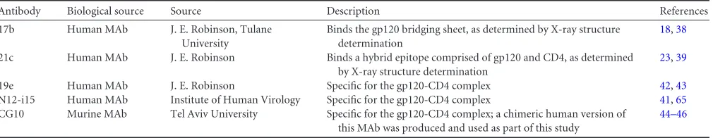 TABLE 1 List of antibodies used in this study