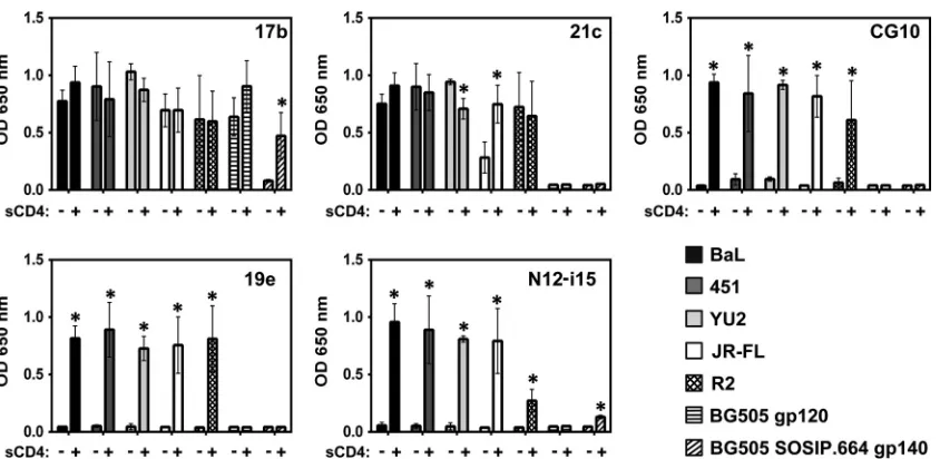 FIG 2 MAb N12-i15 deﬁnes a CD4i region upon gp120 distinct from thebridging sheet. Competition ELISAs were carried out in order to discernwhether all the detected CD4i epitopes cluster to one area on gp120 or not.Binding of CD4i MAbs to gp120BaL-sCD4 was m
