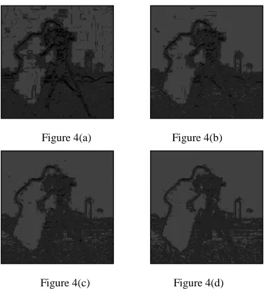 Figure 4(a)                             Figure 4(b) 