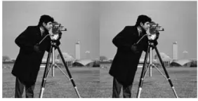 Figure 5(a): Original image (left) and image obtained after improved CDD inpainting process (right) at T1 = 2, T2= 20 (T2= 10×T1) 