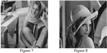 Figure 7                                         Figure 8           