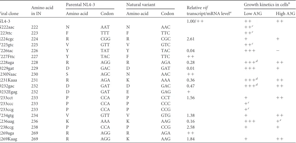 TABLE 3 Effects of natural single-nucleotide variations around SA1prox on vif mRNA levels and viral replication potentials