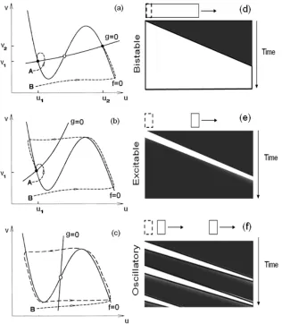 Figure 1.5 Relationship between active media and spatio-temporal patterns.  