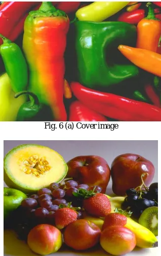 Fig. 6 (a) Cover image  
