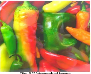 Fig. 8 Watermarked image  