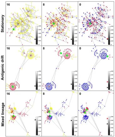 FIG 2 Representative k-step network graphs for stationary (ST3), antigenic drift (AD1), and mixed-lineage (ML1) viromes