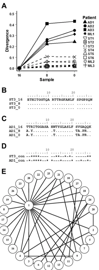 FIG 6 HVR1 evolution is conservative in ST group viromes. (A) HVR1 aminoacid divergence from the original sample was calculated as the pairwise meandistance for ST patient viromes (dashed lines) and AD patient viromes (solidlines)