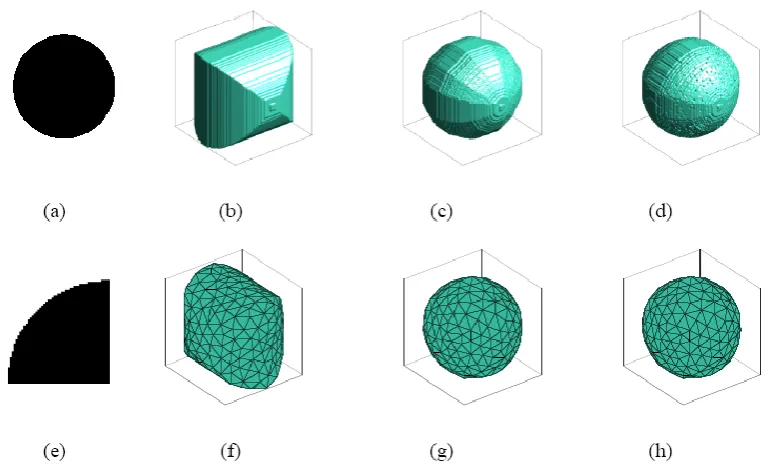 Fig.5. Reconstruction of a sphere with 500 µm diameter (a) planar projection, (b) reconstructed volume (RV) using 2 projections, (c) RV using 6 projections, (d) RV using 30 projections, (e) zoomed view of (a), (f) coarse meshed volume (CMV) of (b), (g) CMV