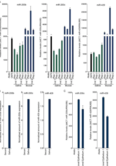 FIG 1 High levels of the miR-200 family of microRNAs are present in the oral and tonsil epithelia and in saliva