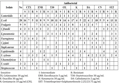 Table (2): Results of antibiogram of bacterial isolated from dead in shell and culled chicks
