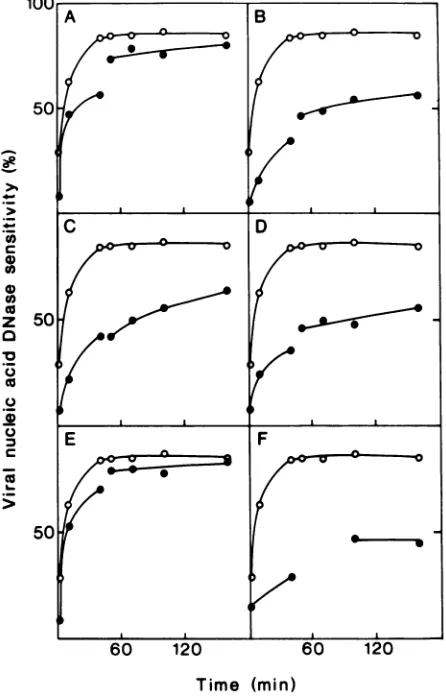 FIG.3.antibodiesThedeterminedTheviralfibercellswerePenetrationsensitivity Influence of added reagents on Ad2 internalization