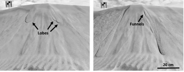 Fig. 4. An example of a ‘slab’ ﬂow in the Maspalomas dune ﬁeld, Gran Canaria, Spain. These ﬂows begin withthe appearance of horizontal tensional cracks in close proximity and parallel to the dune brink (emphasized byarrows on the left)