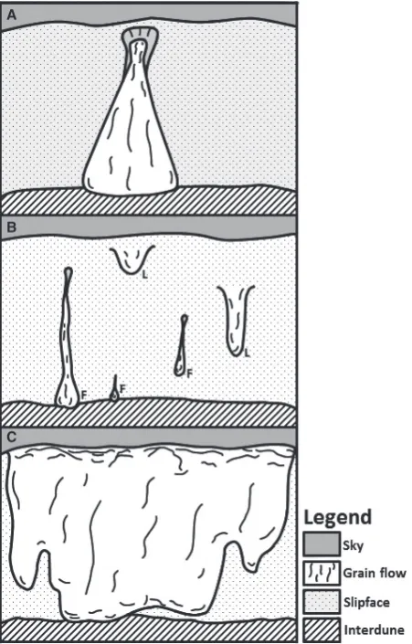 Fig. 6. Simpliﬁedillustrationsofgrain-ﬂowmor-phologies identiﬁed in this study, including: (A)‘hourglass’ ﬂows with alcove; (B) ‘funnels’ and ‘lobes’and (C) ‘slab’ ﬂow