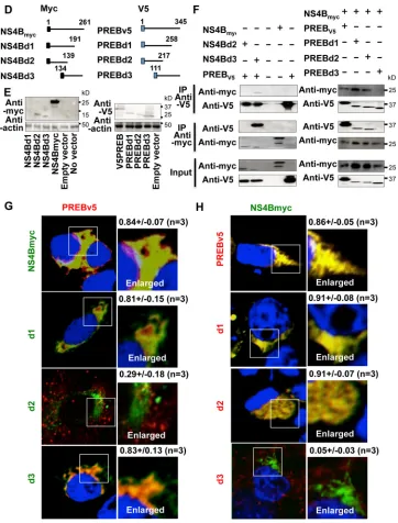 FIG 4 continued