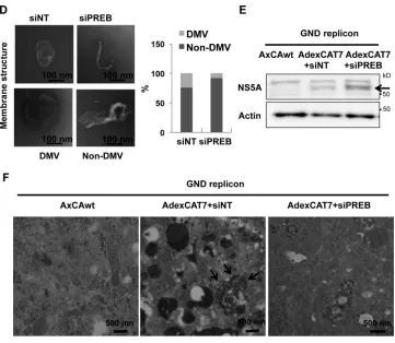 FIG 6 continued