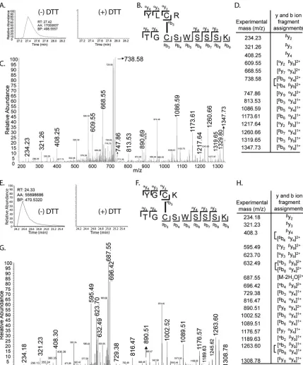 FIG 7 Identiﬁcation of CP-SU1-235 cysteine bonds using mass spectrometry. (A to D) Identiﬁcation of the C2-C3 bond; (E to H) identiﬁcation of the C3-C4 bond.(A and E) Analysis of products in the presence and absence of DTT); (B and F) schematic of the peptide structure corresponding to the identiﬁed products; (C