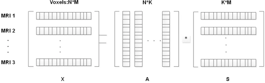 Figure 2. A model of ICA. Each row of matrix X represents the voxel values from one MRI and after the decomposition mixing matrix A and source matrix S come into being