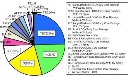 Figure 1 Accident Management Measures