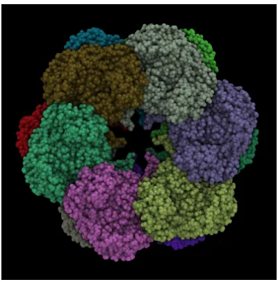 Figure 1.3: Protein complexes of Baker’s yeast [15]